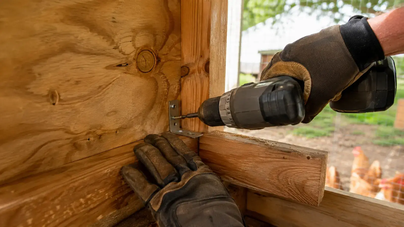 Close-up of a plywood corner joint inside the coop with a small galvanized corner bracket being screwed in for reinforcement