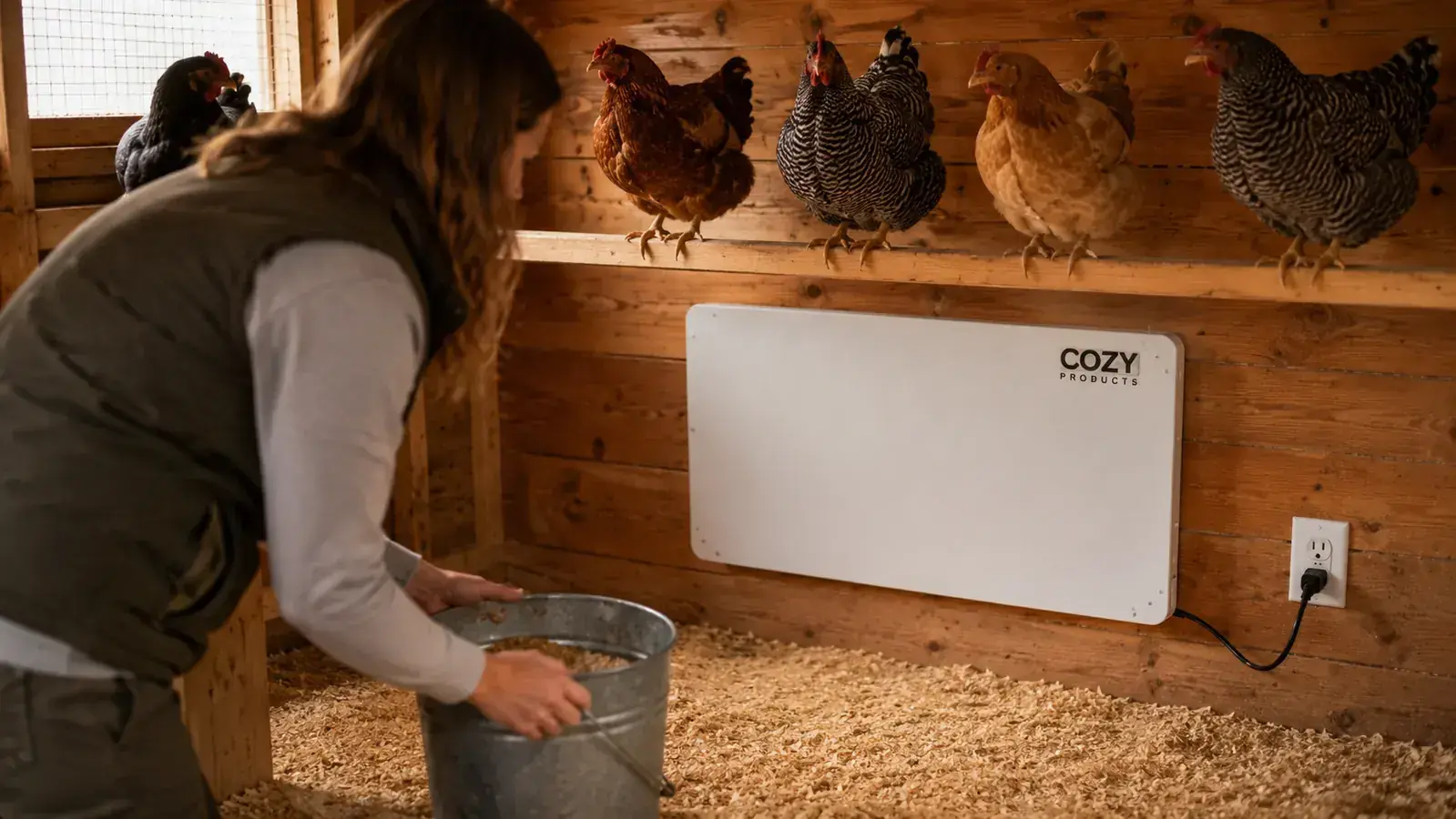 A flat white panel heater mounted on the inside wall of a coop, level with the roost bar, several hens roosting nearby