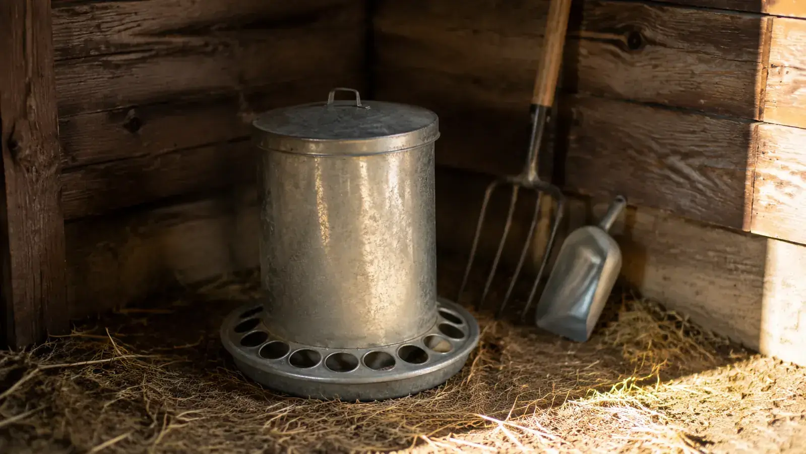 The Honest Grandpa's Feeders Review: Lid, Setup, and Who It's For