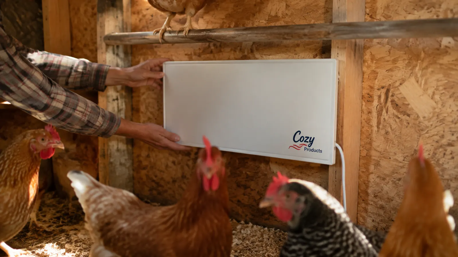 A hand mounting a slim flat-panel heater against the inside wall of a coop near a roosting bar