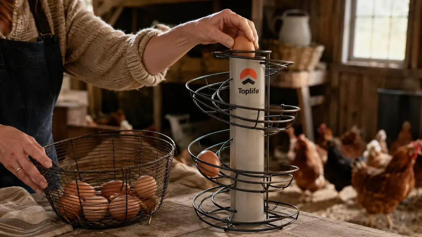 A woman's hand placing fresh eggs from a wire gathering basket into the top of a spiral egg skelter on the kitchen counter